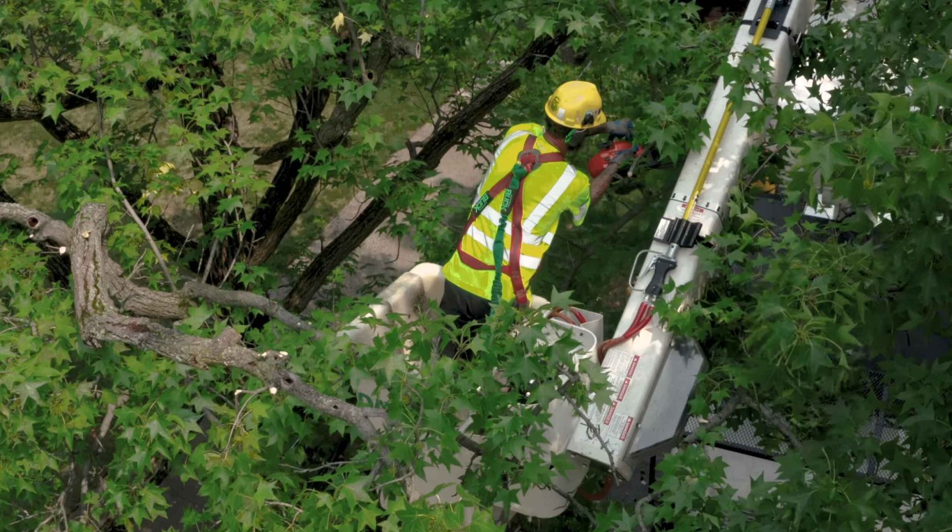 Arborist performing tree health inspection from aerial lift in Missouri, TX